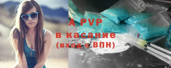 прущие грибы Семикаракорск