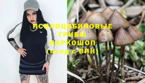 бошки Краснослободск